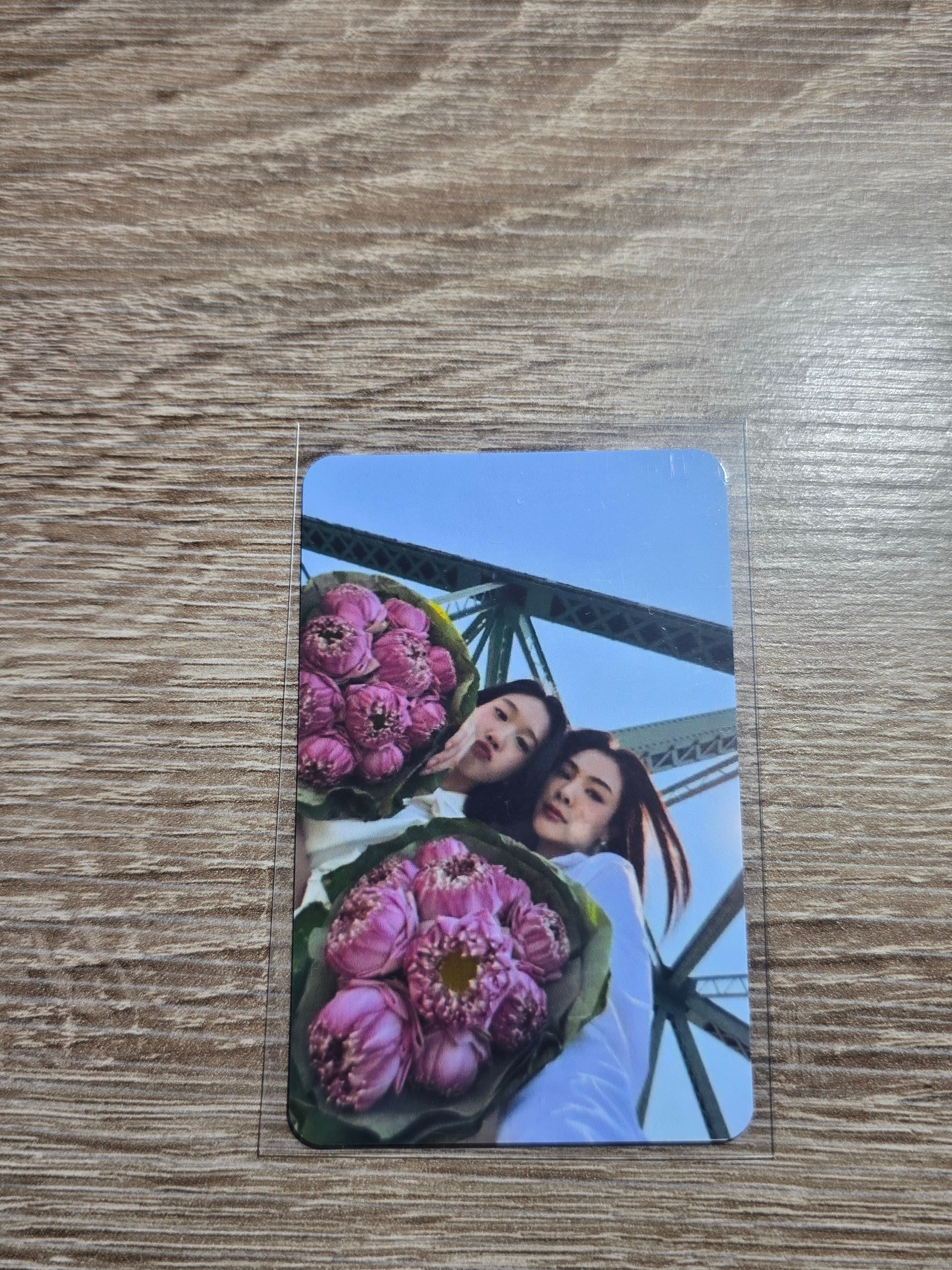 Photos cards FayeAtom