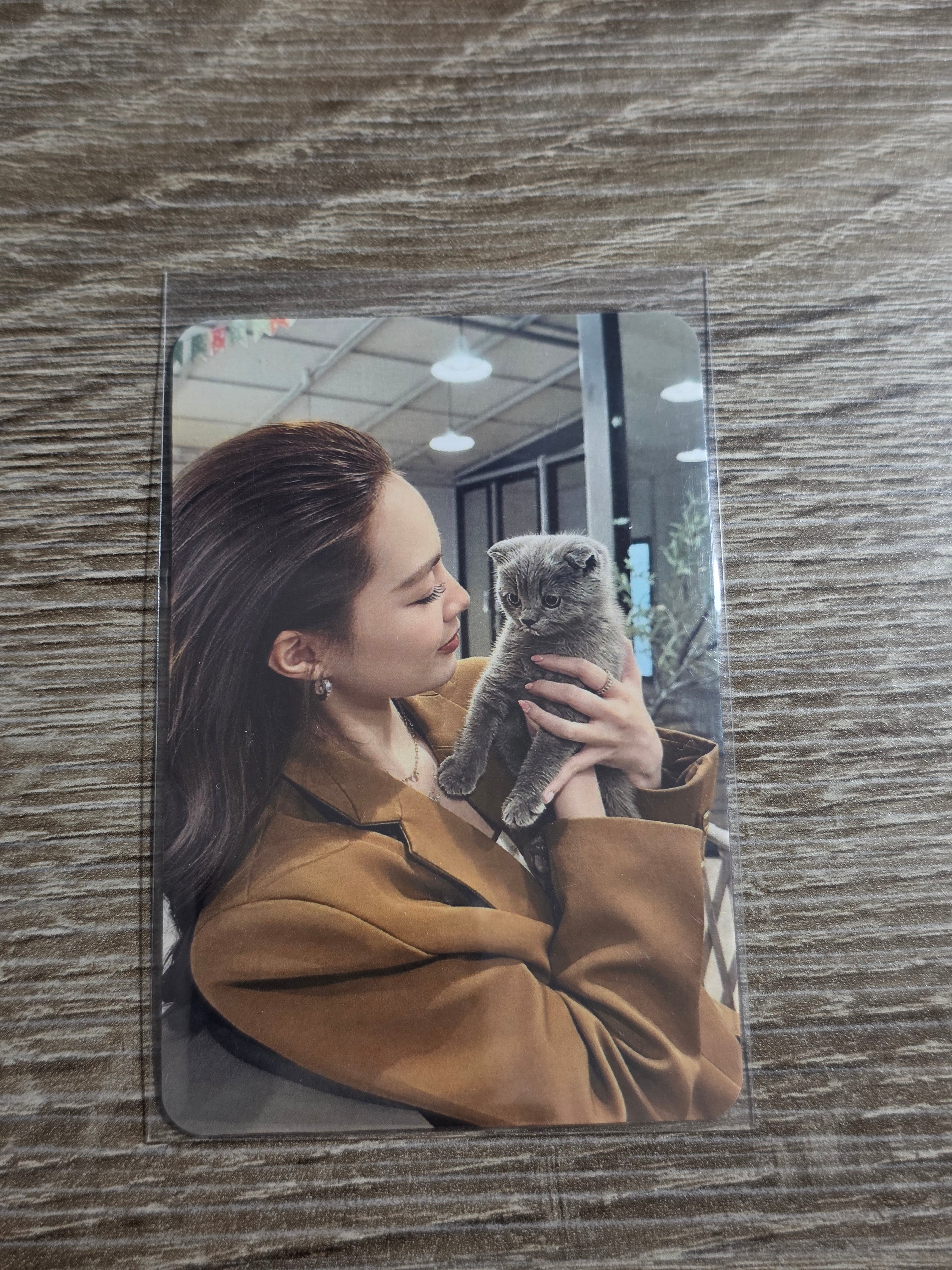 Photos cards TKNur